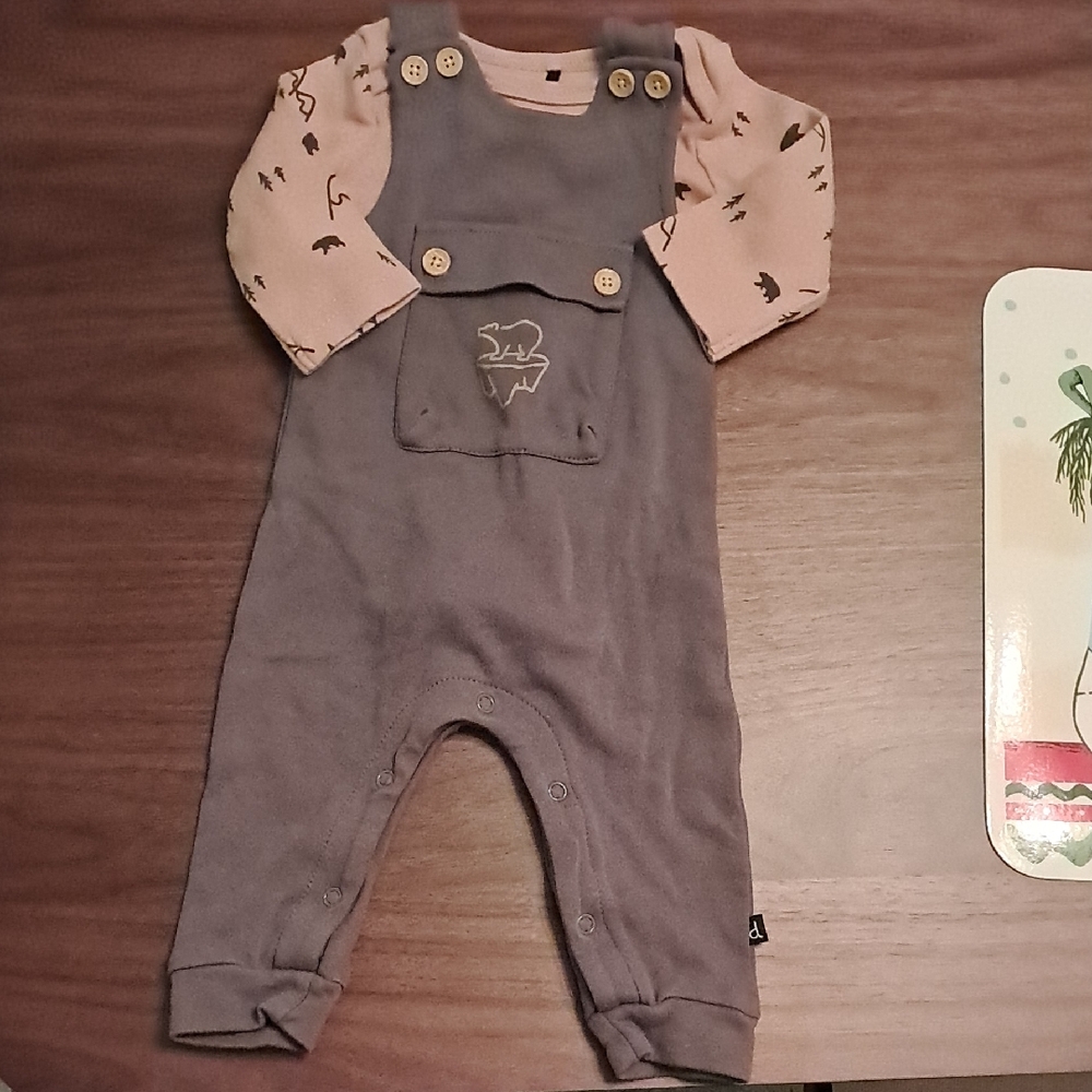 Adorable Gray and Pink Baby Overalls